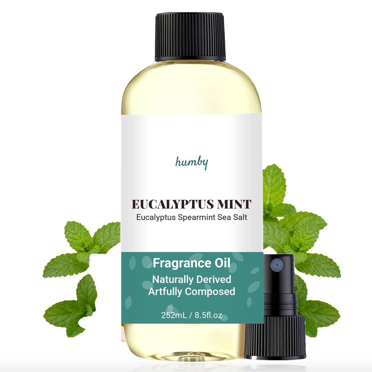 Eucalyptus Mint